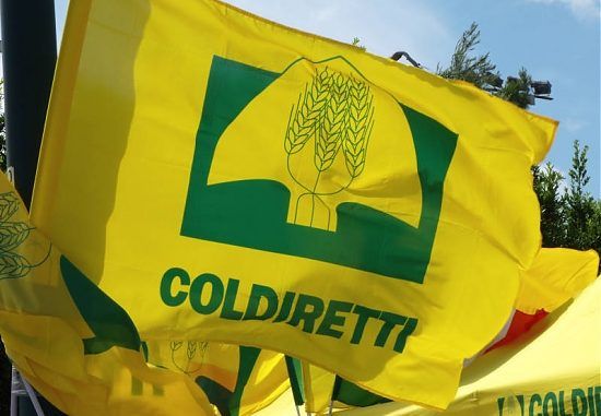 Cambiamenti climatici, misure di contenimento e contrasto ai danni. Il punto di Coldiretti Asti