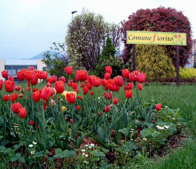 &quot;Vivere in un Comune fiorito&quot; iniziativa di Asproflor con Uncem e Confcooperative