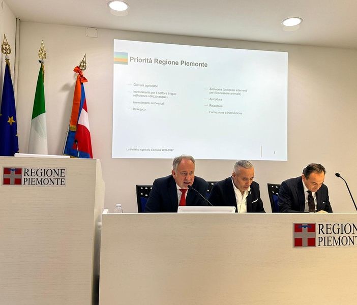 L'agricoltura è una questione per giovani: api, riso, l'uso dell'acqua e la cura del &quot;bio&quot;, ecco cosa promette il futuro