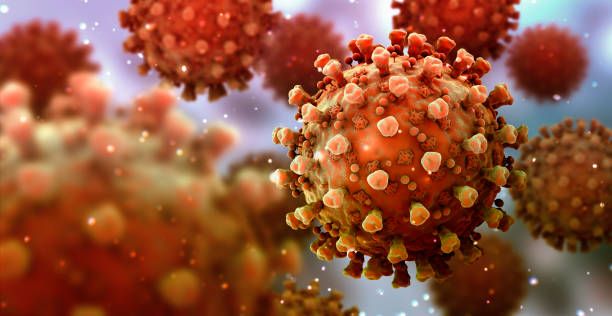 Verso l'obbligo vaccinale per gli over 50 e super green pass per andare dal parrucchiere e dall'estetista?