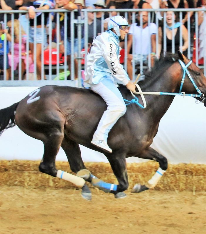 Dino Pes, qui vincitore del Palio 2019 per la Cattedrale