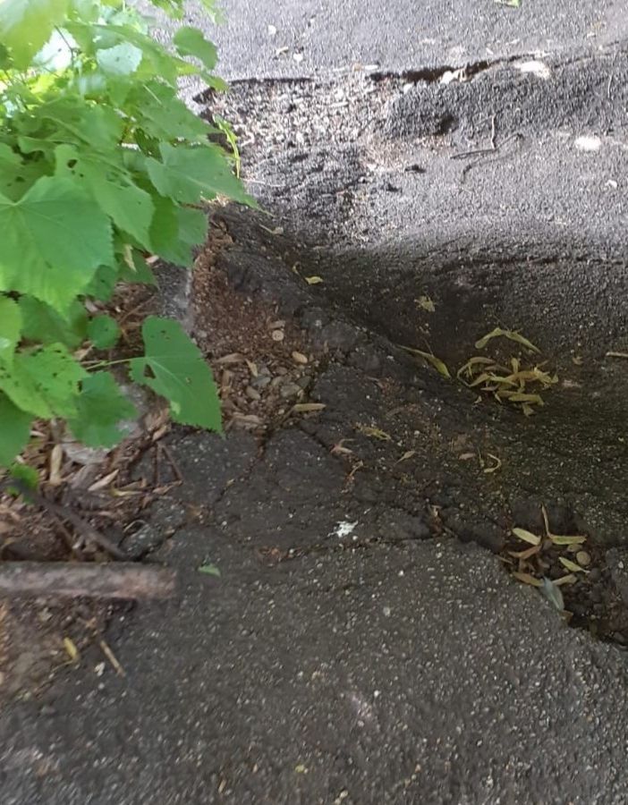 Un tratto di marciapiede in via Robino