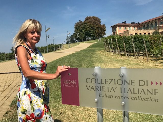 Dora MArchi