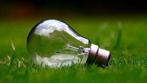 Lampadina in un prato