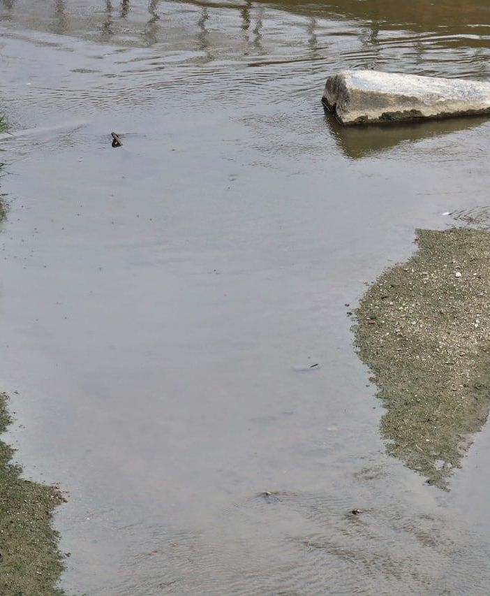 Siccità, riconosciuto lo stato d'emergenza al Piemonte: 7,6 milioni di euro per le prime opere di somma urgenza