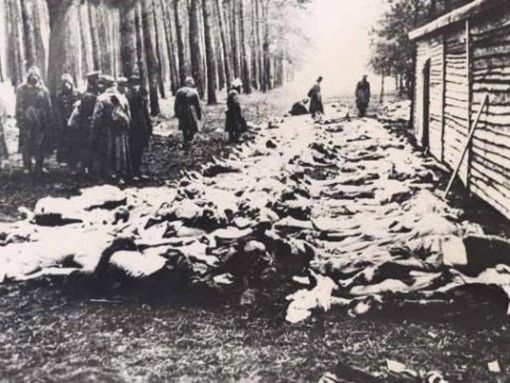 Asti ha reso omaggio alle vittime dei massacri delle foibe, in occasione del Giorno del Ricordo