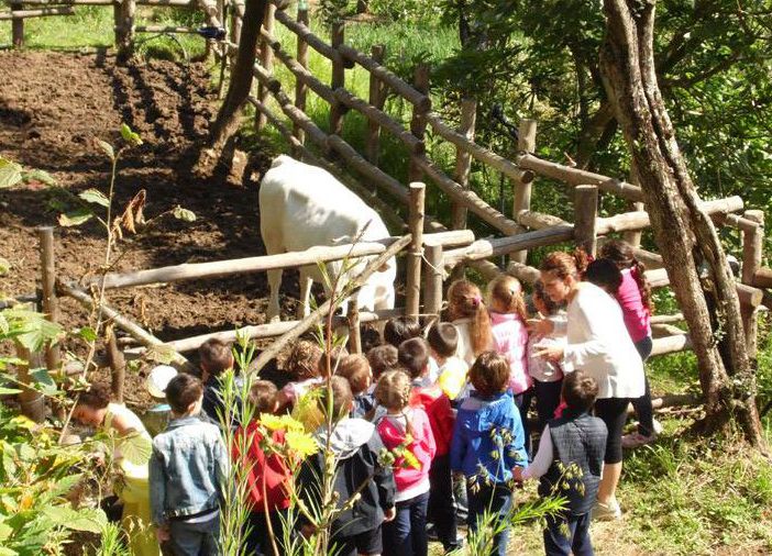 L'estate per i bambini è meglio in campagna nelle fattorie didattiche