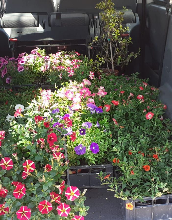Fiori per la Casa di Riposo Città di Asti dall'associazione &quot;Sole che sorgi&quot;
