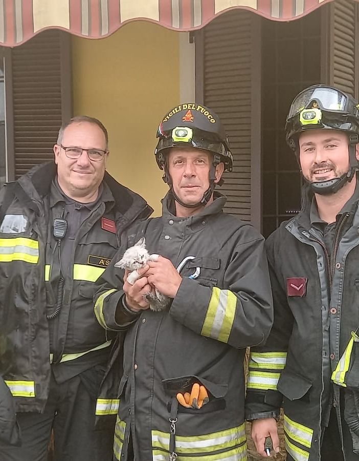 La squadra che ha salvato il gattino