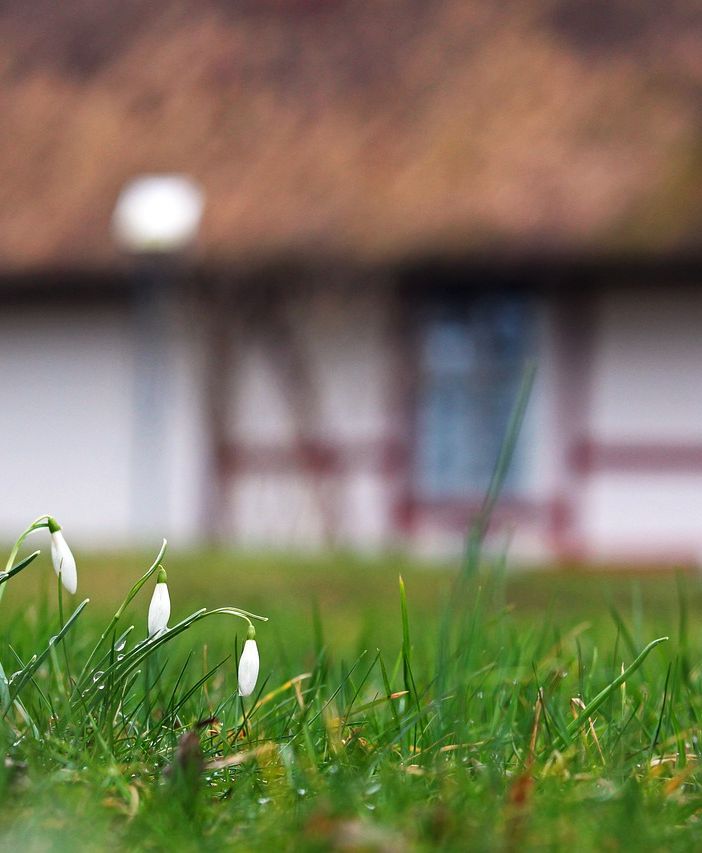 Come arredare il giardino senza lasciare nulla al caso