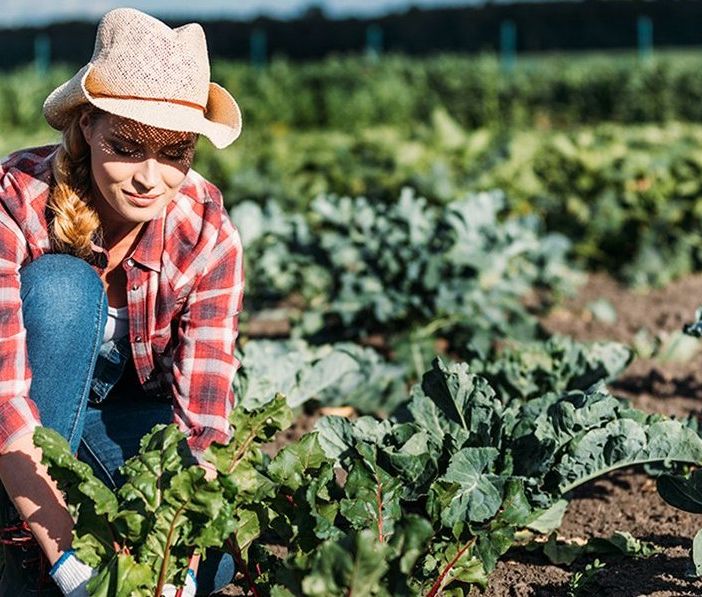 Nuove braccia che tornano all'agricoltura. Coldiretti: &quot;19mila risorse in più nel corso dell'ultimo anno&quot;