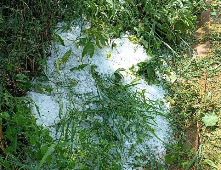 Una foto della gradine che ha distrutto i raccolti (Ph Dati Meteo Asti)