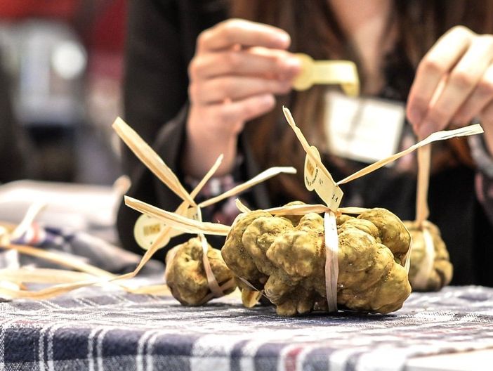 Ente Fiera del Tartufo – Foto Davide Carletti