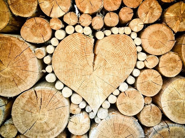 Bioedilizia prefabbricata: qual è il legno migliore per le case abitabili in legno?