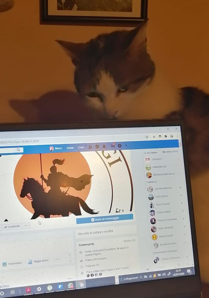 &quot;Lo so che ho più follower io in 24 h che voi in un anno. Salutate la gattolista&quot; scrivono Malandrone e la gatta Libera nel post che accompagna questa immagine