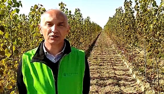 Enrico Allasia “adesso serve accelerare la ripresa e una maggiore semplificazione della burocrazia”