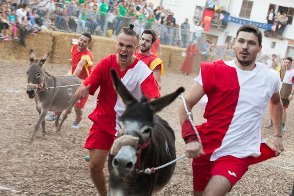 Cocconato d’Asti si prepara al Palio degli Asini del cinquantenario