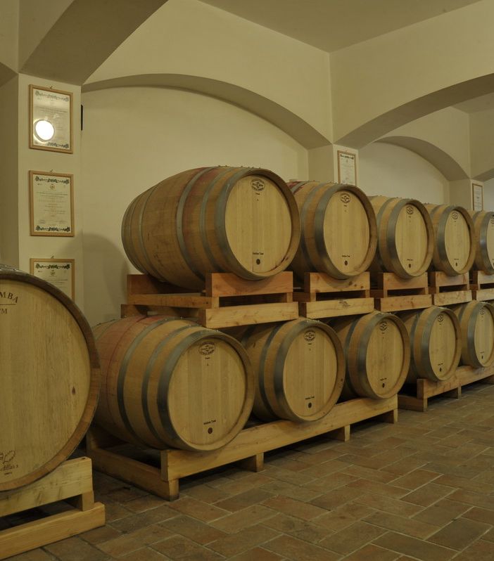 Grande successo per la giornata di &quot;Cantine Aperte&quot; alla Cantina Sociale Terre Astesane [VIDEOGALLERY]