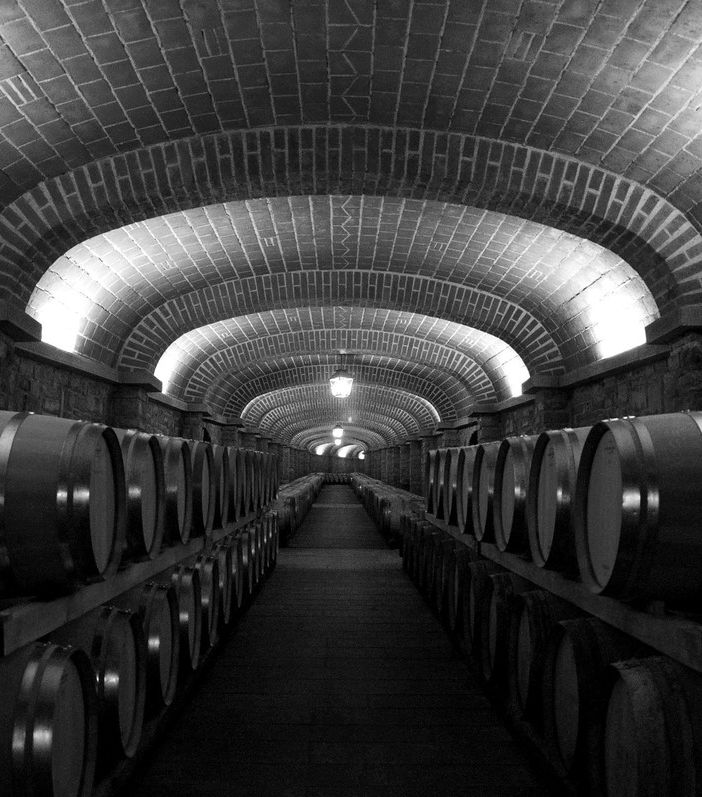 L’allarme di Coldiretti: “In crisi 4 cantine su 10, aiutiamole con #iobevoitaliano”