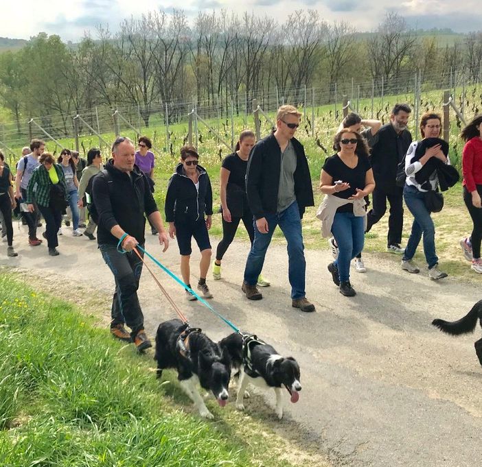 La camminata di Agliano