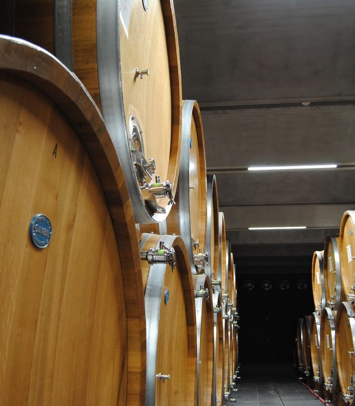 Alla cantina Terre del Barolo un ricco autunno tra vendemmia, fine lavori nei nuovi locali e la novità dello spumante metodo Classico Extra Brut Blanc De Blancs