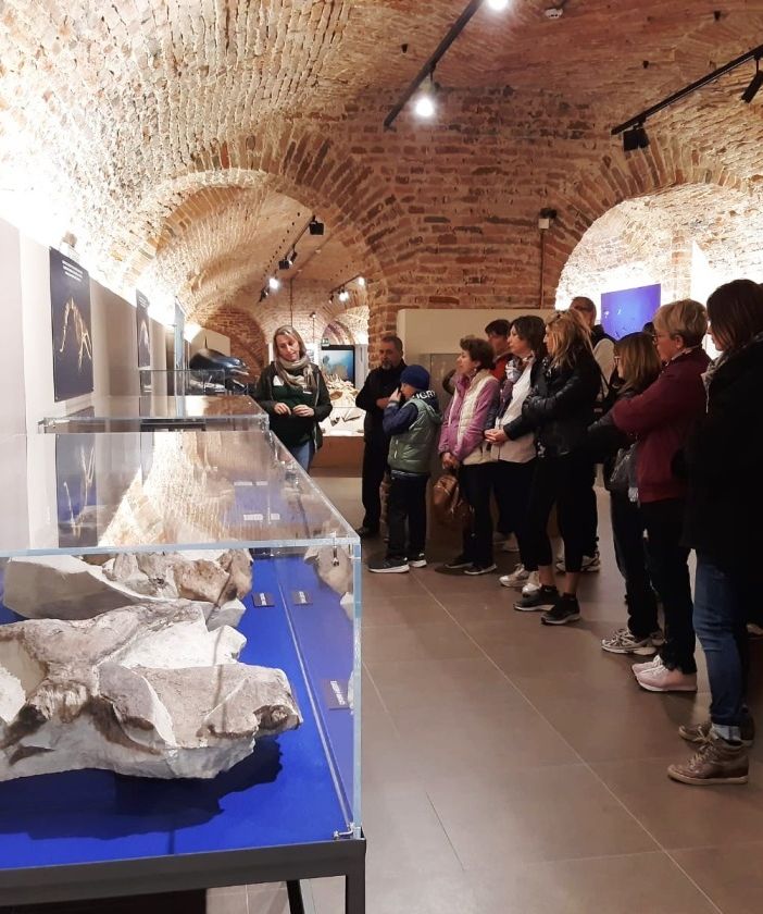 Docenti in visita al museo