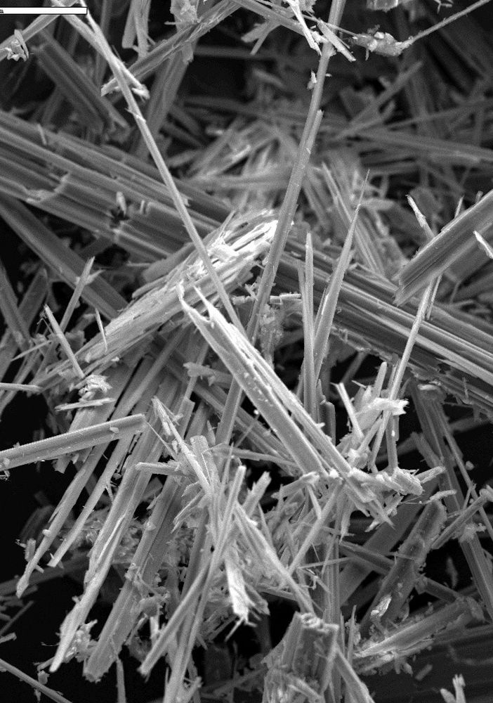 Fibre di amianto, estremamente pericolose per la salute