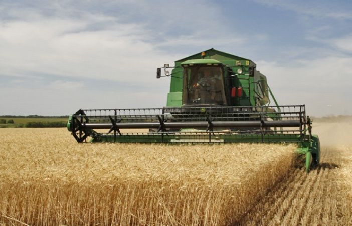 Confagricoltura chiede un piano di selezione per limitare i danni causati da piccioni inselvatichiti