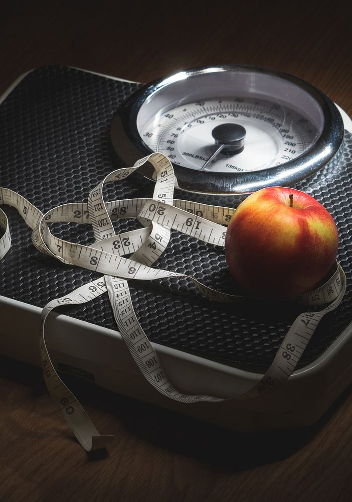 Slow Food: «Per combattere obesità e sovrappeso infantili inserire l’educazione alimentare e sensoriale nei programmi scolastici, a partire dalle mense»