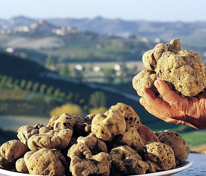 Approvato l’avviso per la presentazione delle domande d’indennità per la conservazione del patrimonio tartufigeno regionale