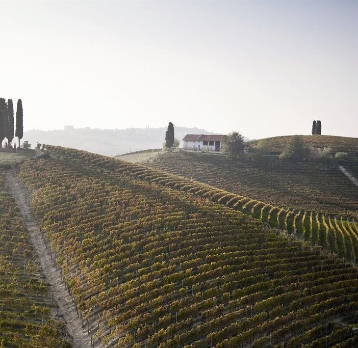I vigneti tutto intorno al parco artistico La Court