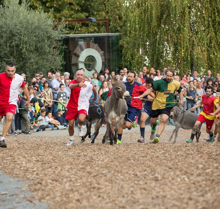 Cocconato si prepara ad ospitare una ricca edizione 2019 del Palio degli asini