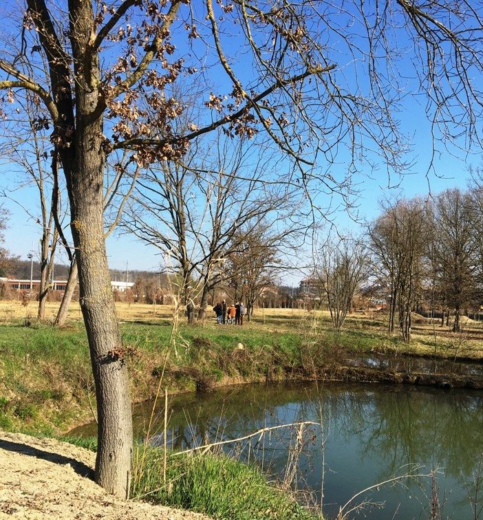 Uno scorcio del Parco delle Verne