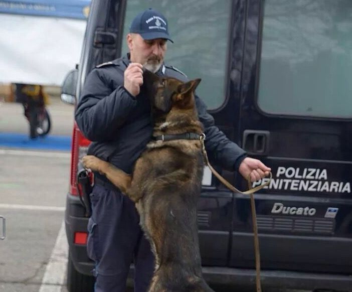 Dai canili al lavoro con la Polizia penitenziaria. Ad Asti la scuola nazionale per cani poliziotto (FOTOGALLERY)