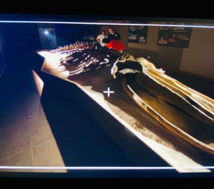 Rai Storia al Museo Paleontologico (questa e tutte le altre foto sono state realizzate da Valerio Rapisarda)