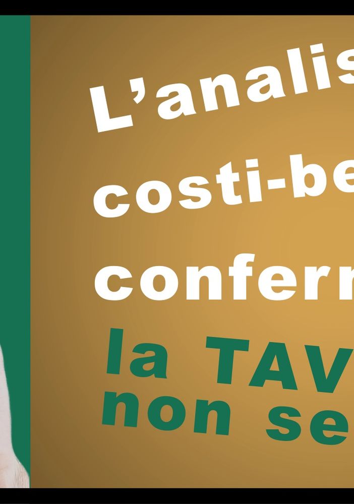 &quot;Tav? Quante bufale&quot; il presidente dell'Unione Industriale di Asti Andrea Amalberto parla di analisi costi-benefici