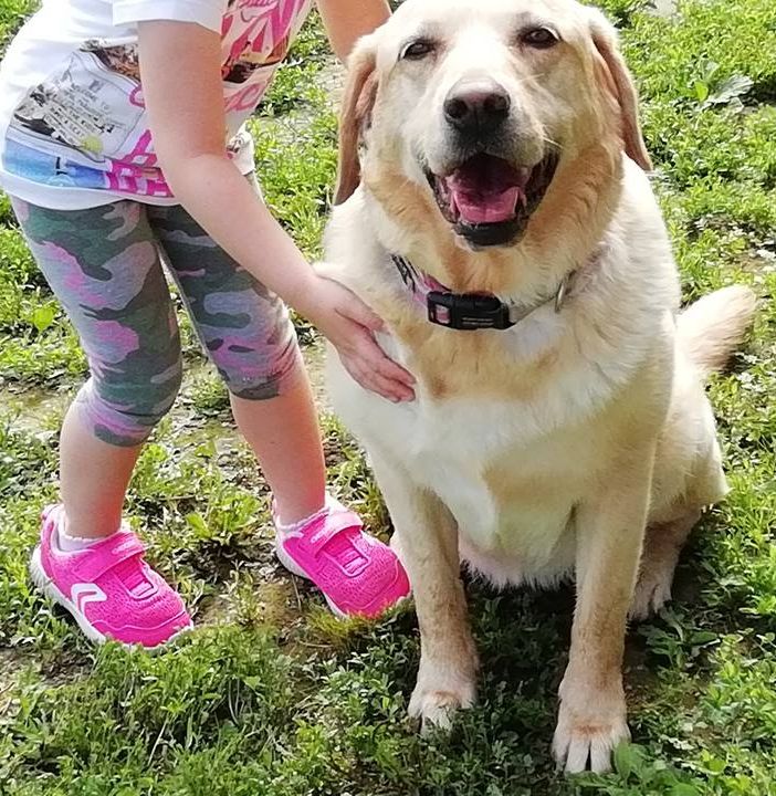 Asti: aperte le iscrizioni per &quot;Con-fido nel Teatro&quot; per chi ama gli animali
