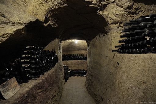 A Vignale Monferrato, &quot;Pomeriggio sulle Colline&quot; con i Biologi per il Rinnovamento