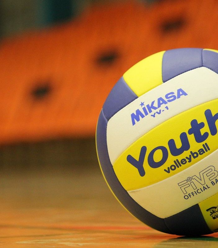 palla da pallavolo