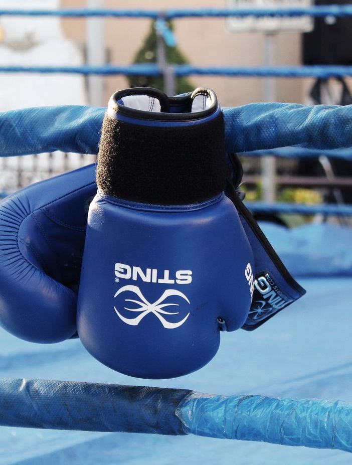 guantoni da boxe