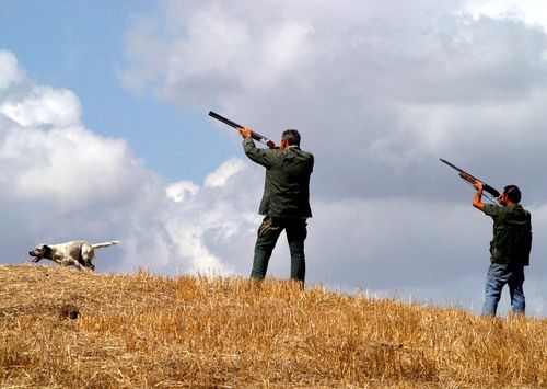 Caccia, l’ira di Legambiente: “In Piemonte approvata la legge vergogna”