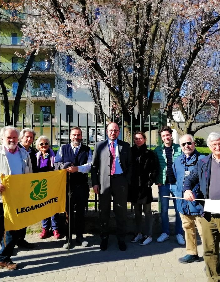 Sopralluogo in corso Matteotti ad Asti per la verifica degli alberi