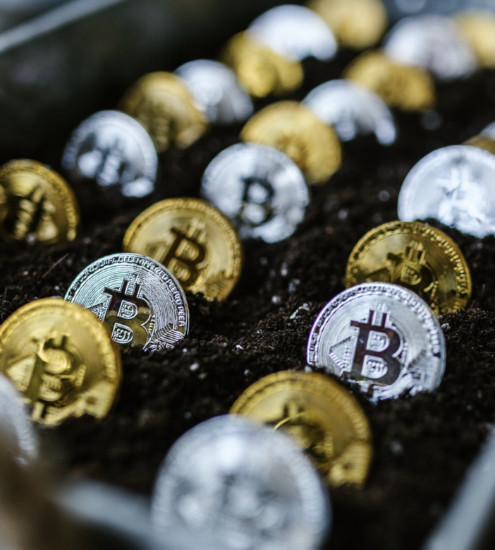 Criptovalute: Il Trend Globale degli Investimenti e l'Interesse Crescente degli Italiani