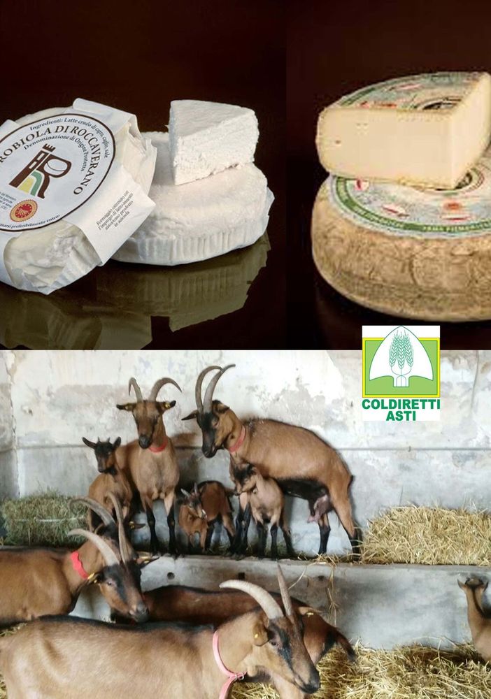Richiesta di Coldiretti alla Regione: il Piemonte sostenga i propri formaggi Dop