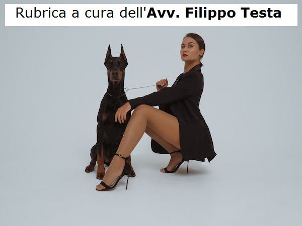Nessuno tocchi il mio cane