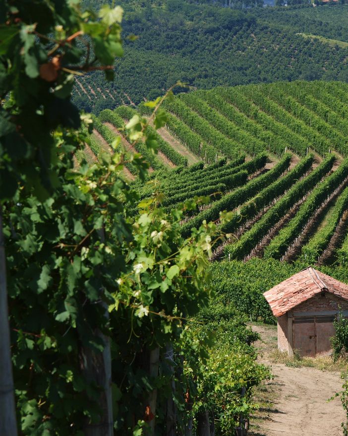 Golosoria preannuncia una domenica monferrina tra bellezza e gusto