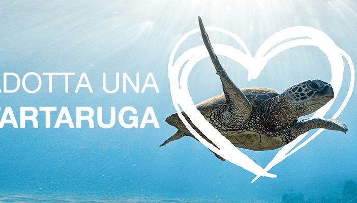 L’associazione Plastic Free Odv Onlus lancia il progetto “Adotta una tartaruga”