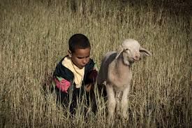 Questa sera per &quot;Segni particolari: migrante&quot; il Lumiere ospita &quot;My name is Adil&quot;