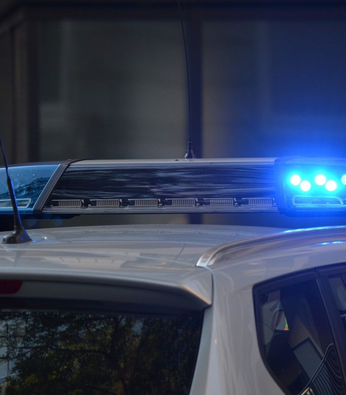 La polizia al lavoro