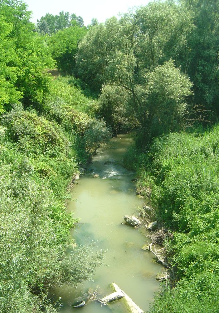 Un'immagine del torrente Versa